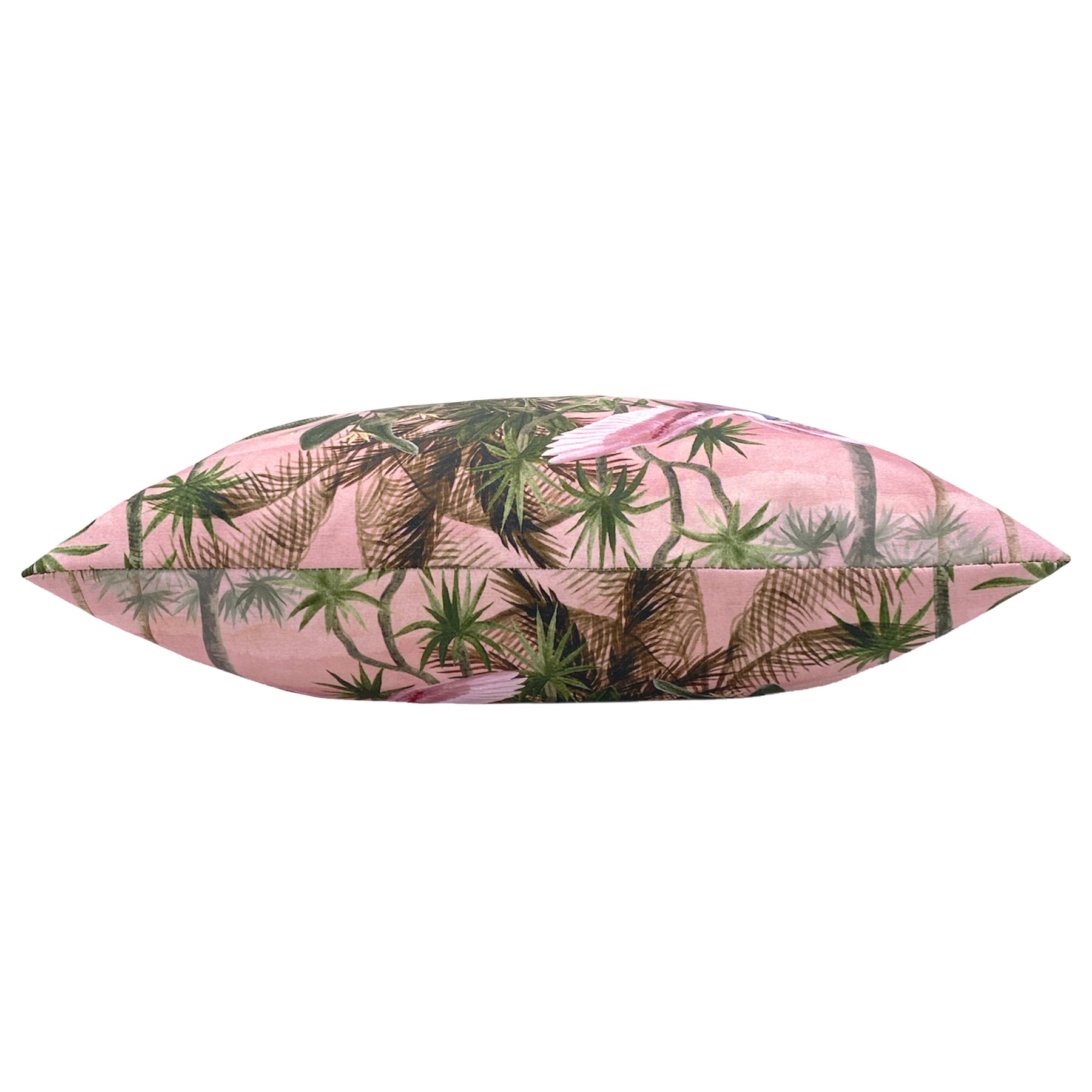 Platalea Botanical Outdoor Filled Cushion 43cm x 43cm Blush
