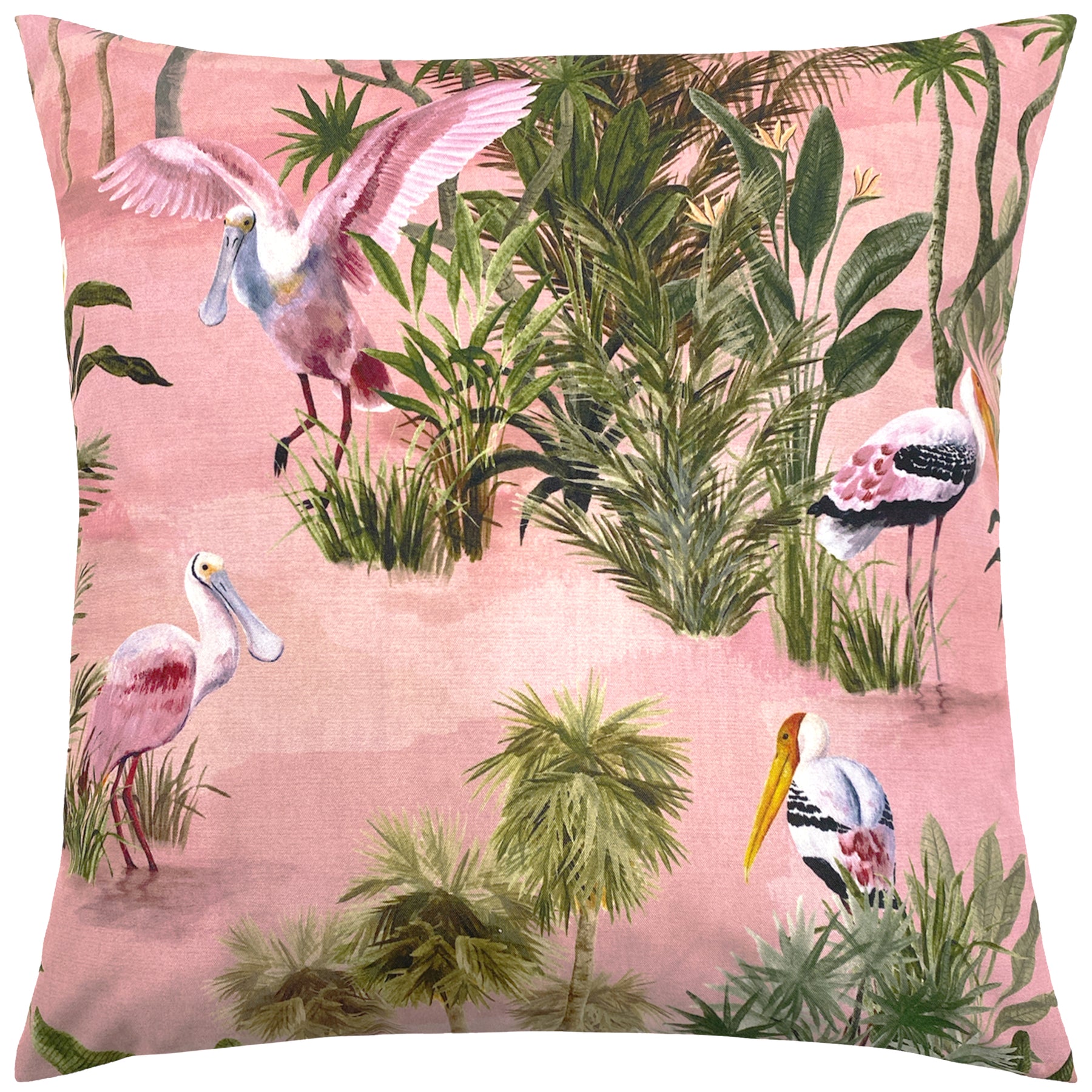Platalea Botanical Outdoor Filled Cushion 43cm x 43cm Blush