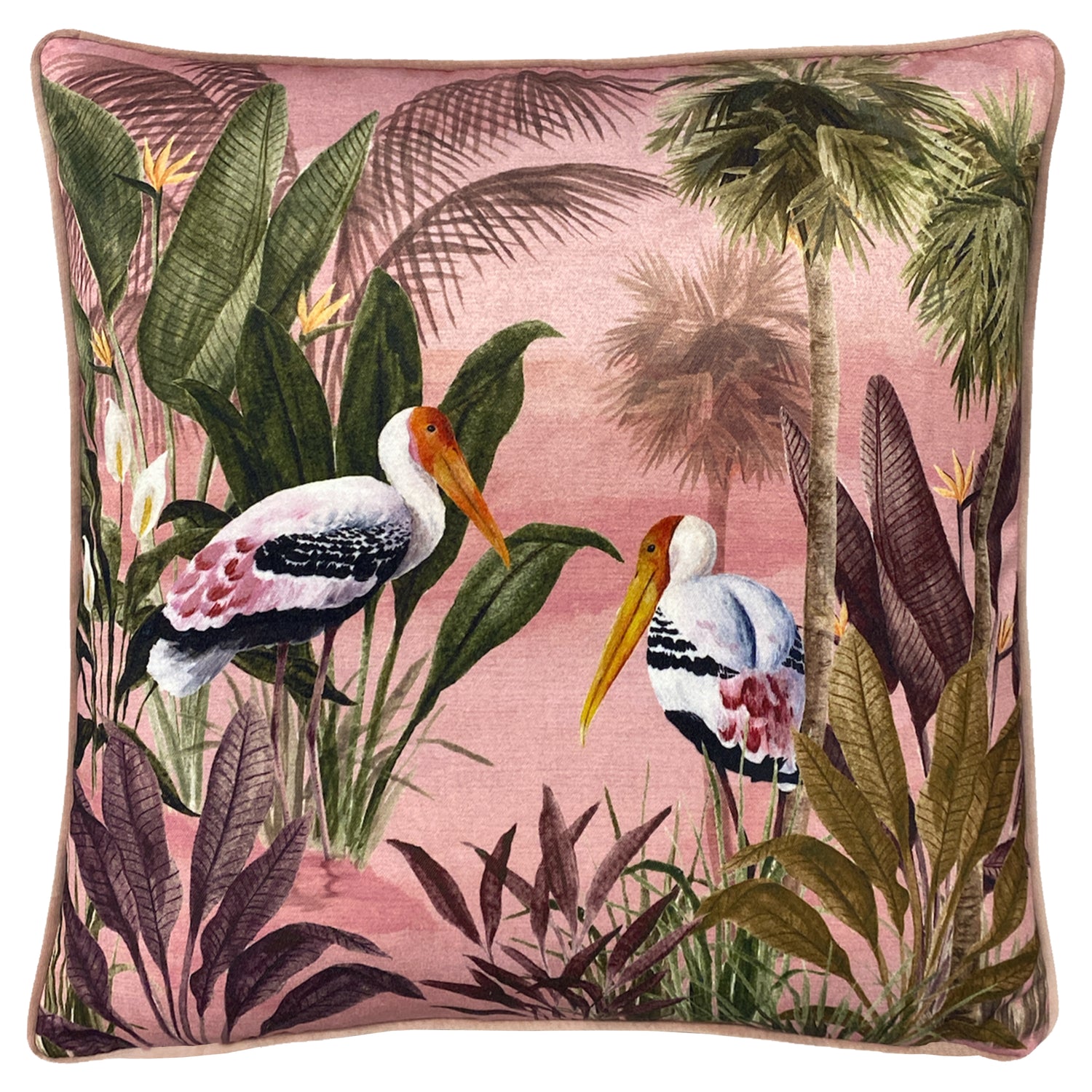 Platalea Botanical Filled Cushion 43cm x 43cm Pink