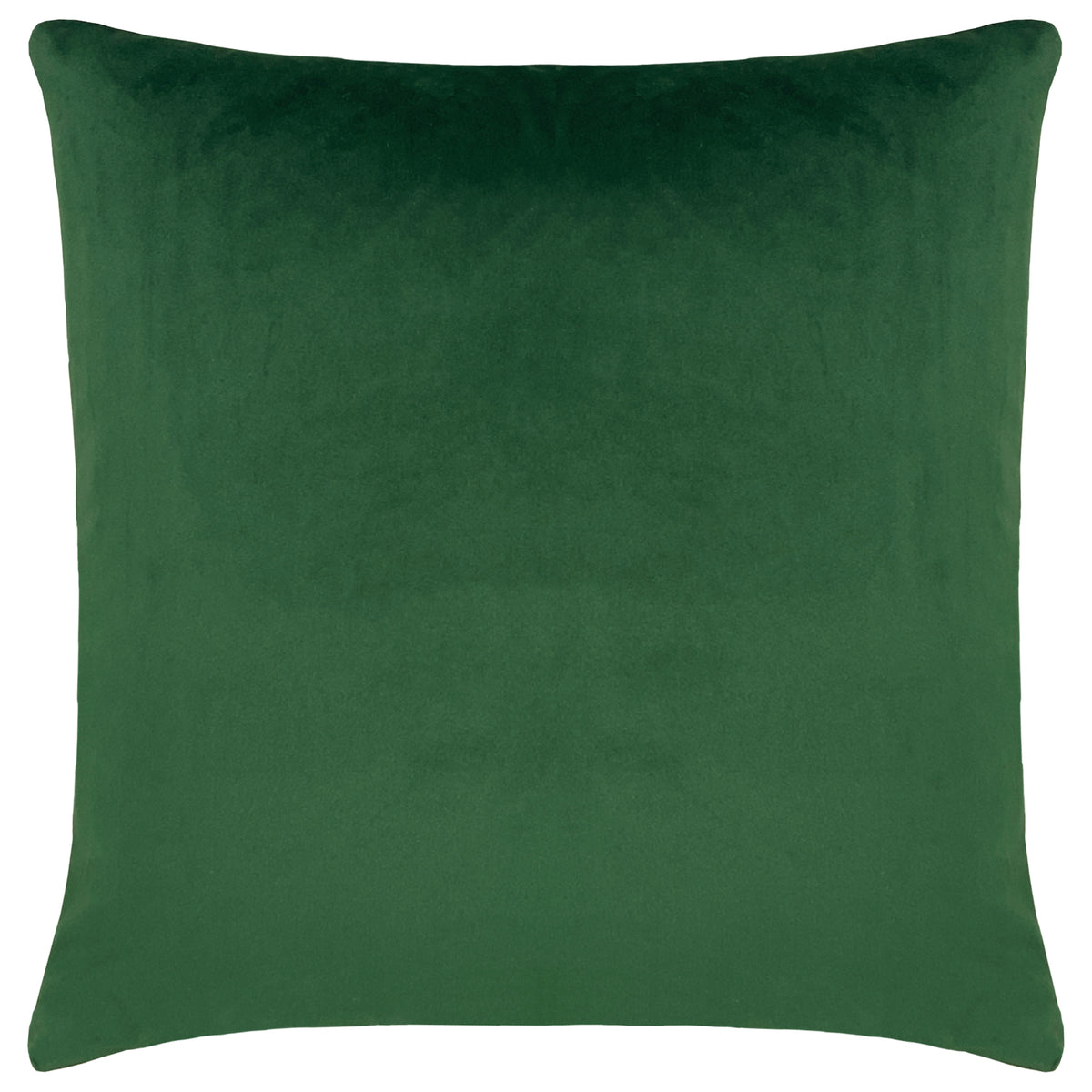 Platalea Botanical Filled Cushion 43cm x 43cm Pink