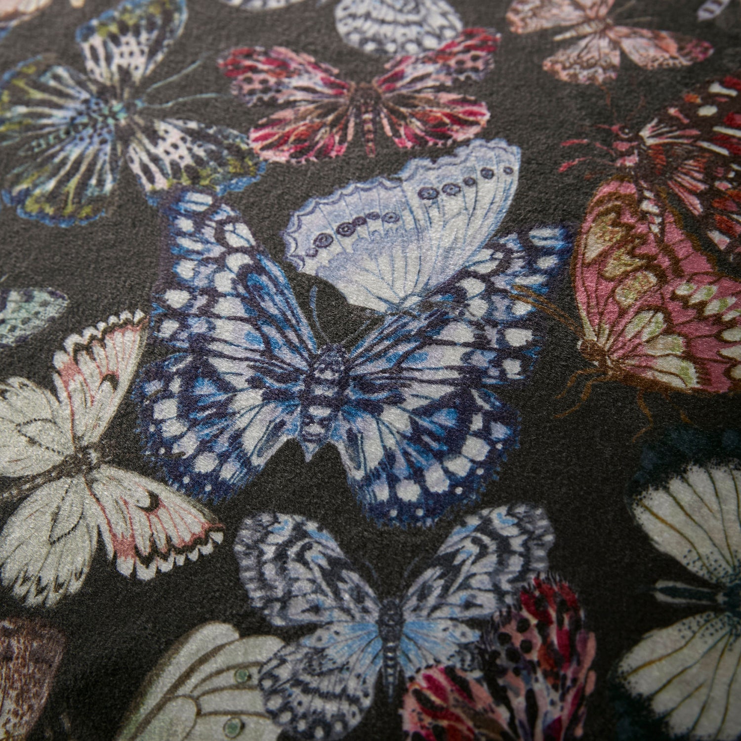Soiree Papillon Duvet Cover Bedding Set Charcoal