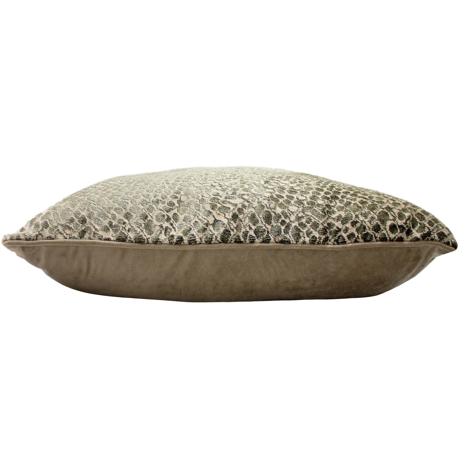 Paoletti Python Velvet Jacquard 40cm x 60cm Filled Boudoir Champagne