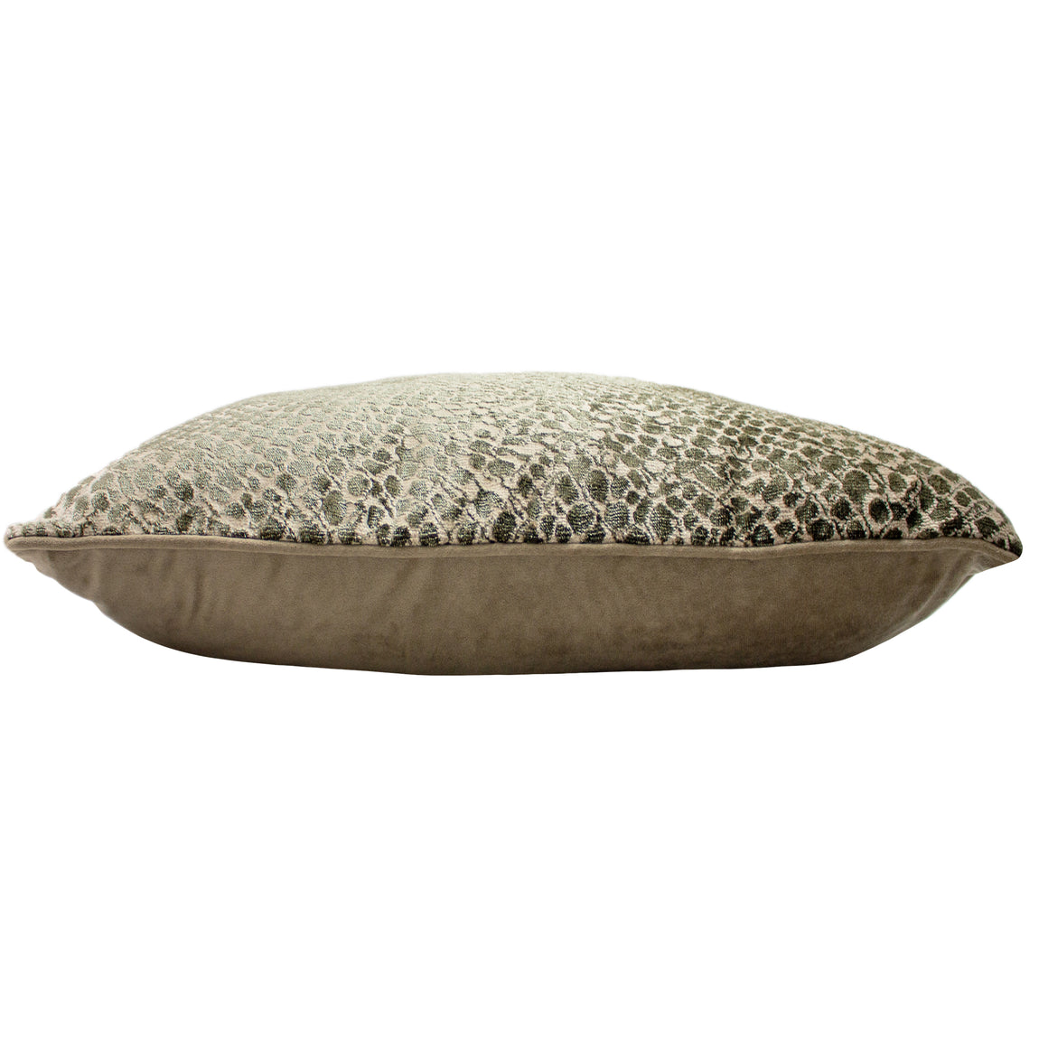 Paoletti Python Velvet Jacquard 40cm x 60cm Filled Boudoir Champagne