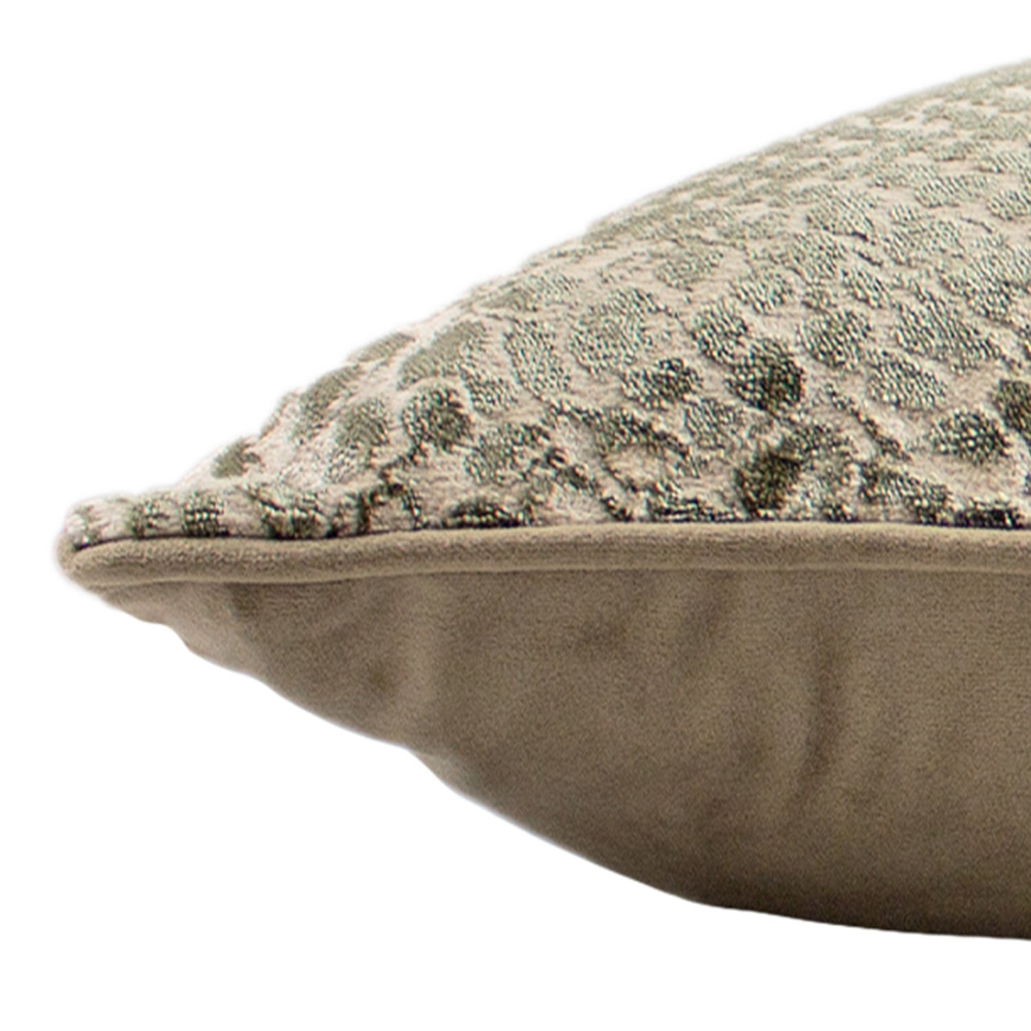 Paoletti Python Velvet Jacquard 40cm x 60cm Filled Boudoir Champagne