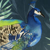 Soiree Peacock Jungle Filled Cushion 43cm x 43cm Teal