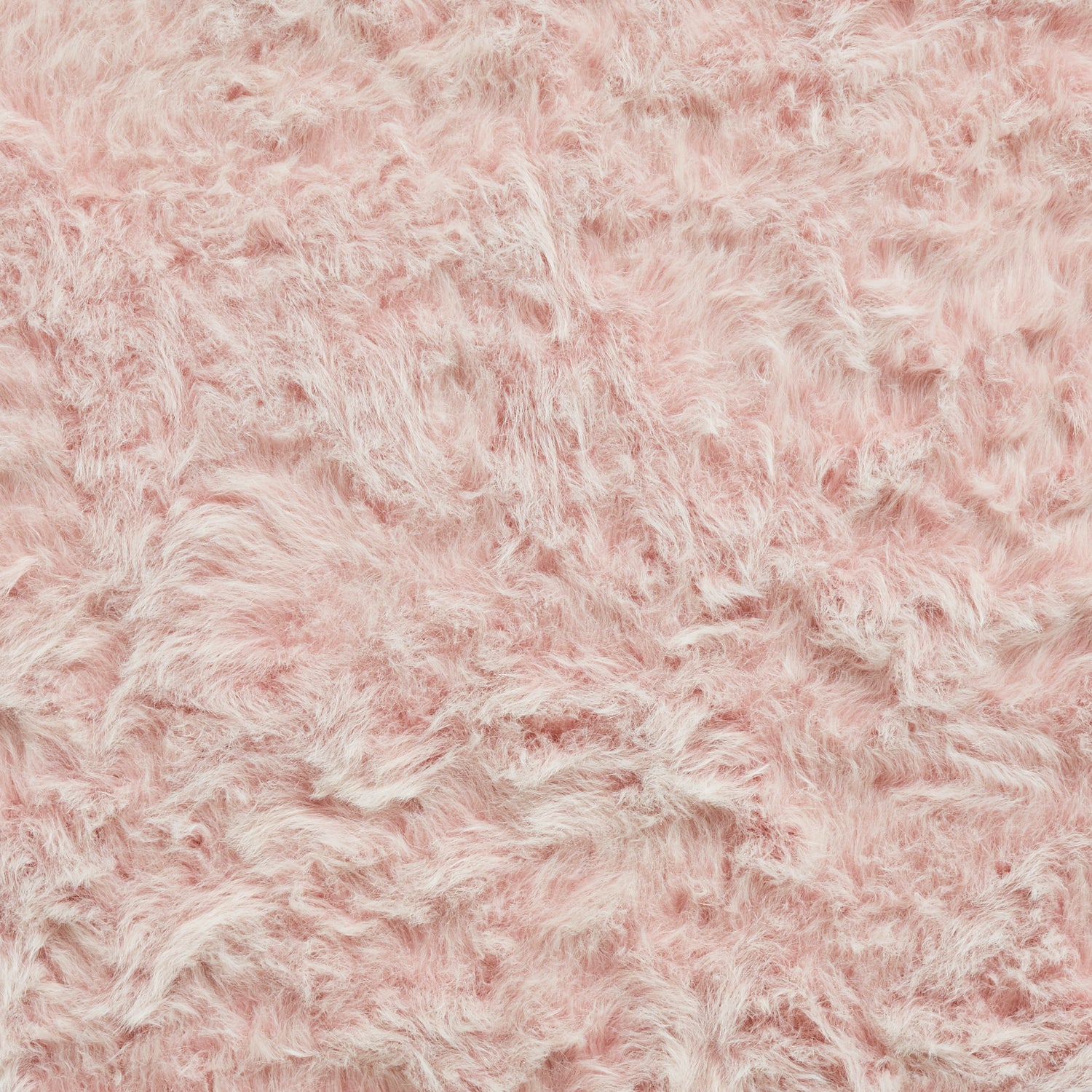 Polar Plush Shaggy Rug Rose
