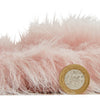 Polar Plush Shaggy Rug Rose
