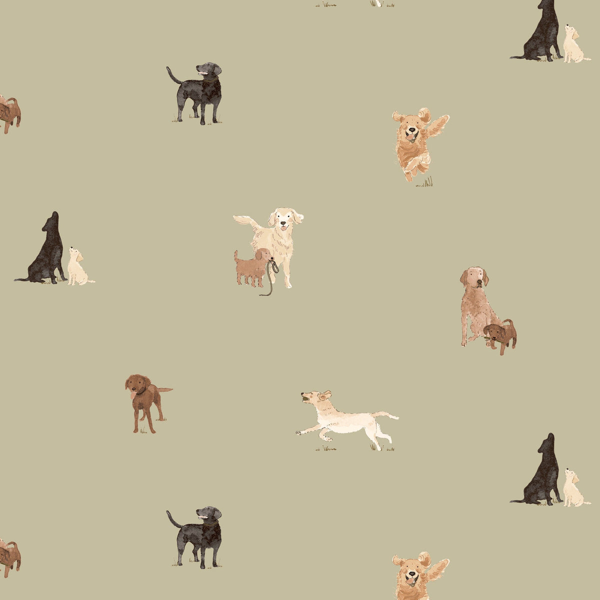 Sophie Allport Labradors And Retrievers Translucent Made To Measure Roller Blind Khaki