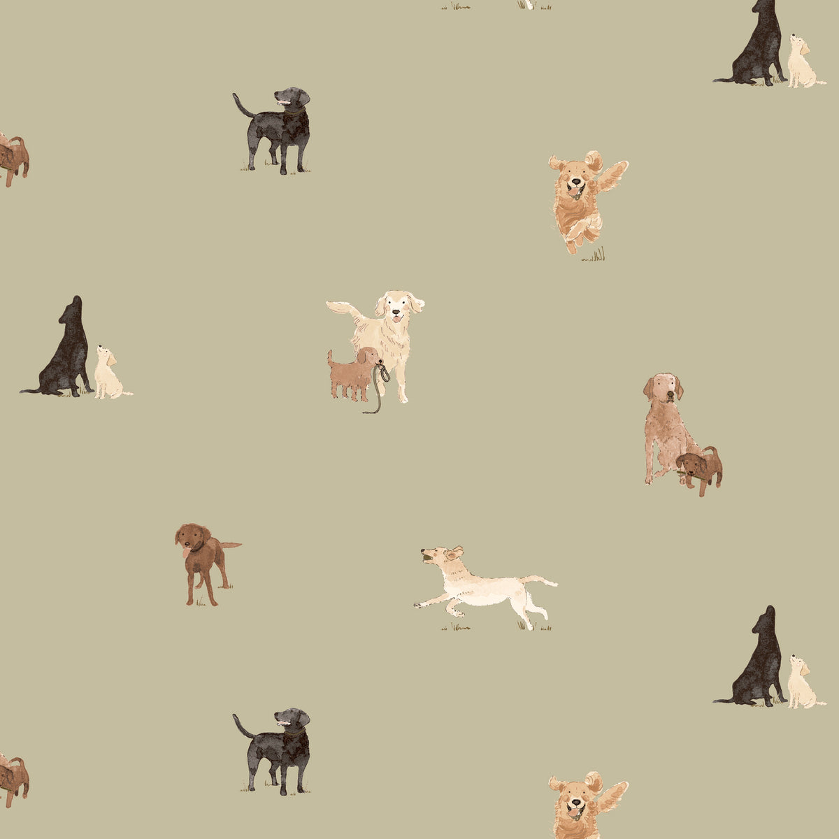 Sophie Allport Labradors And Retrievers Made To Measure Roman Blind Khaki