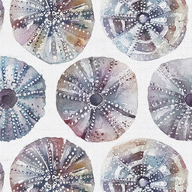 Voyage Maison Sea Urchin Fabric Abalone