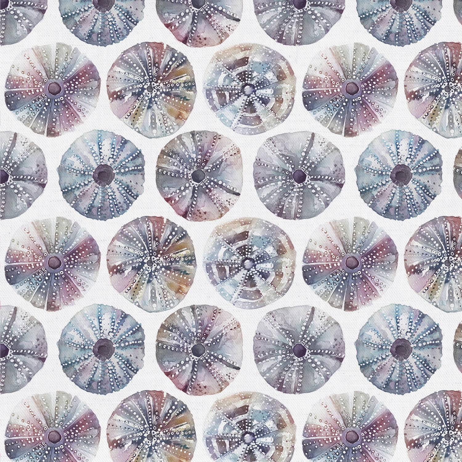 Voyage Maison Sea Urchin Fabric Abalone