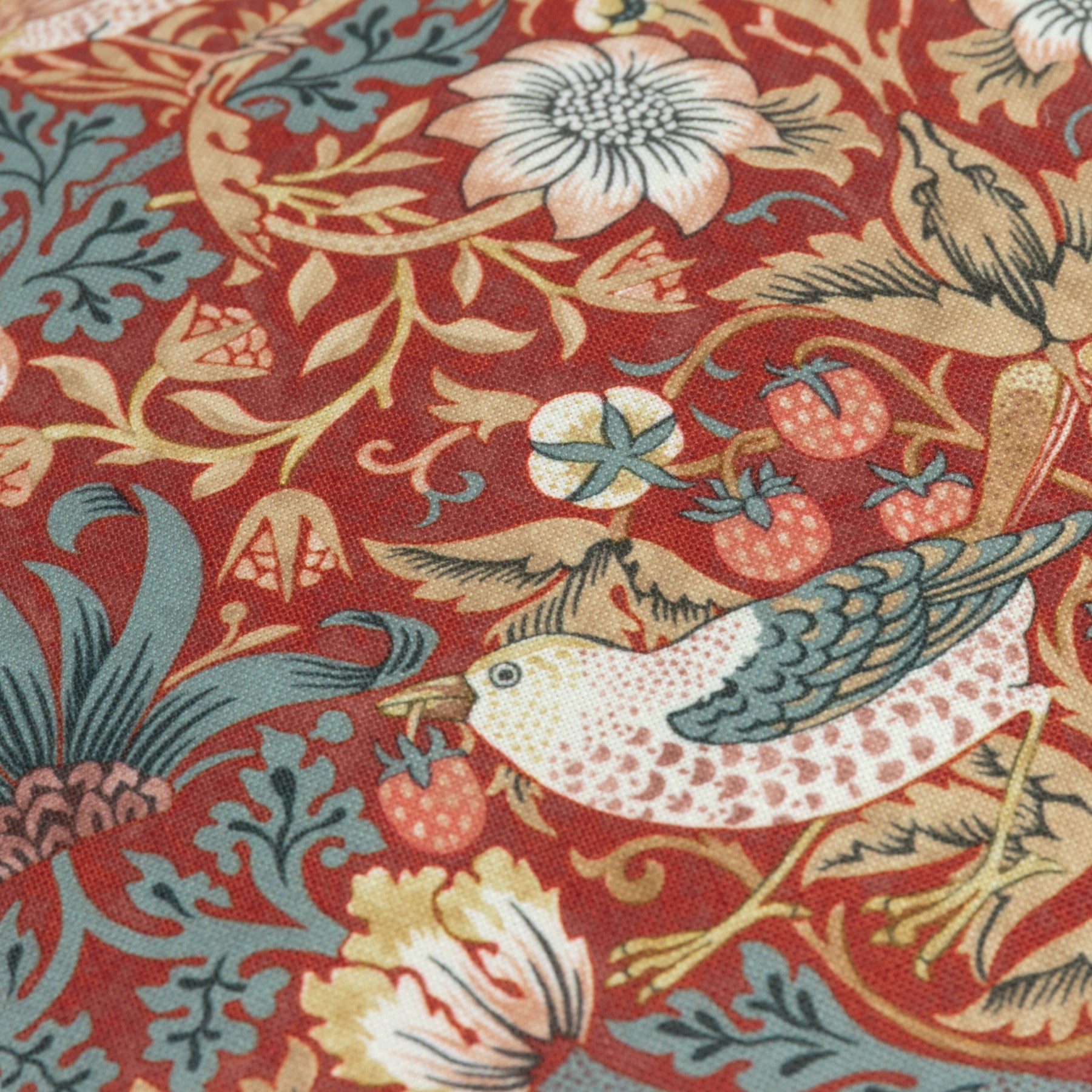 Morris & Co. Strawberry Thief Piped Outdoor 50cm x 50cm Filled Cushion Berry