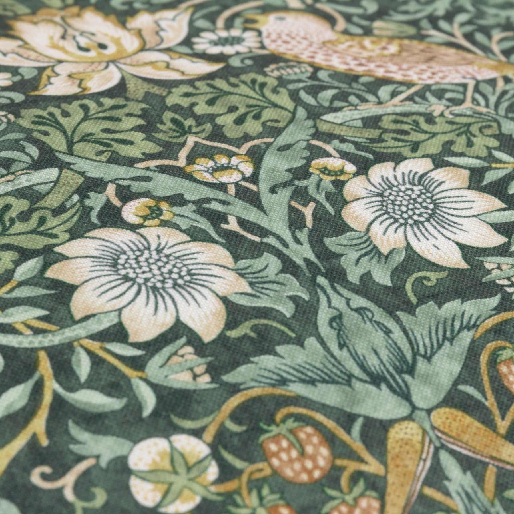 Morris & Co. Strawberry Thief Piped Outdoor 50cm x 50cm Filled Cushion Forest Green