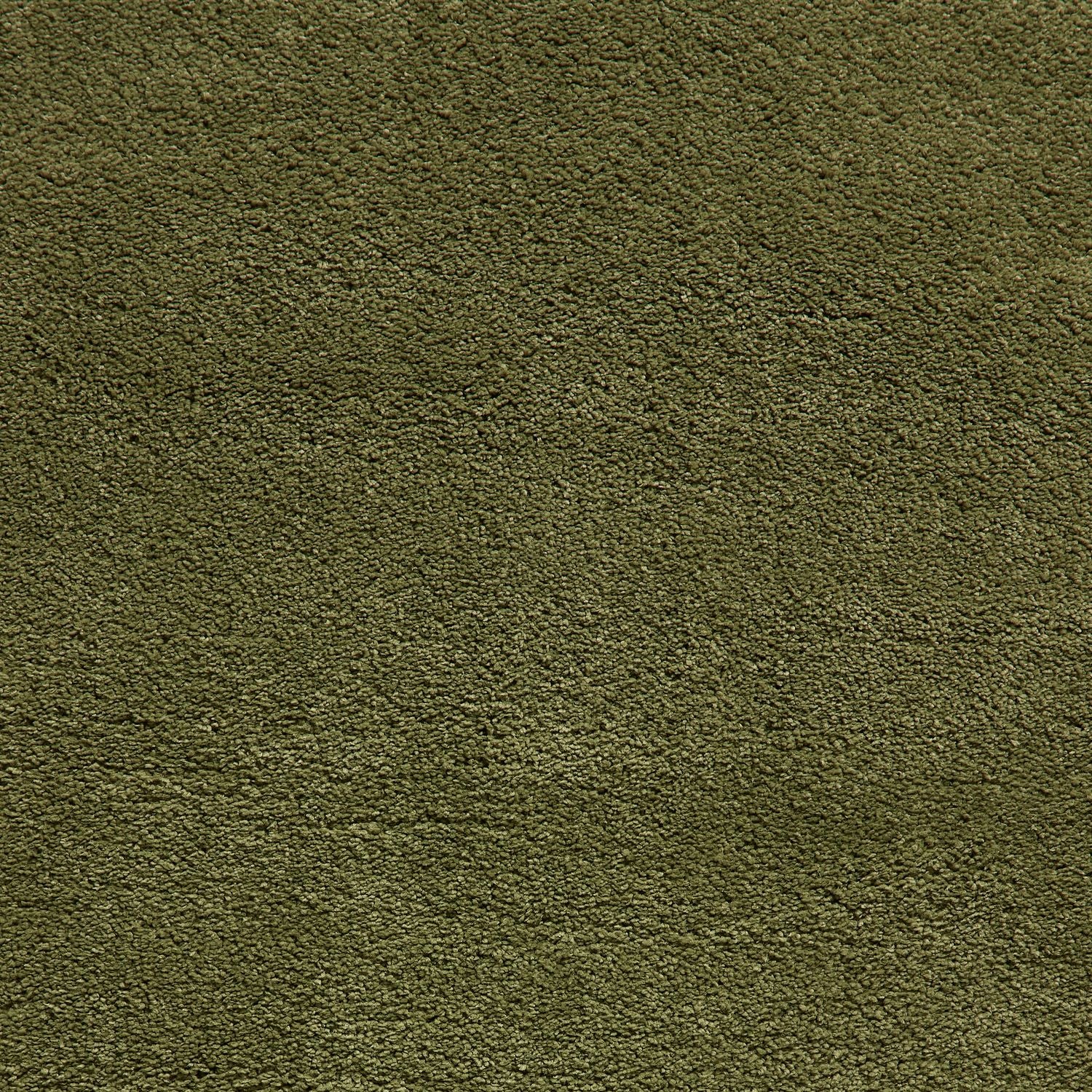 Sierra 9000 Shaggy Rug Olive