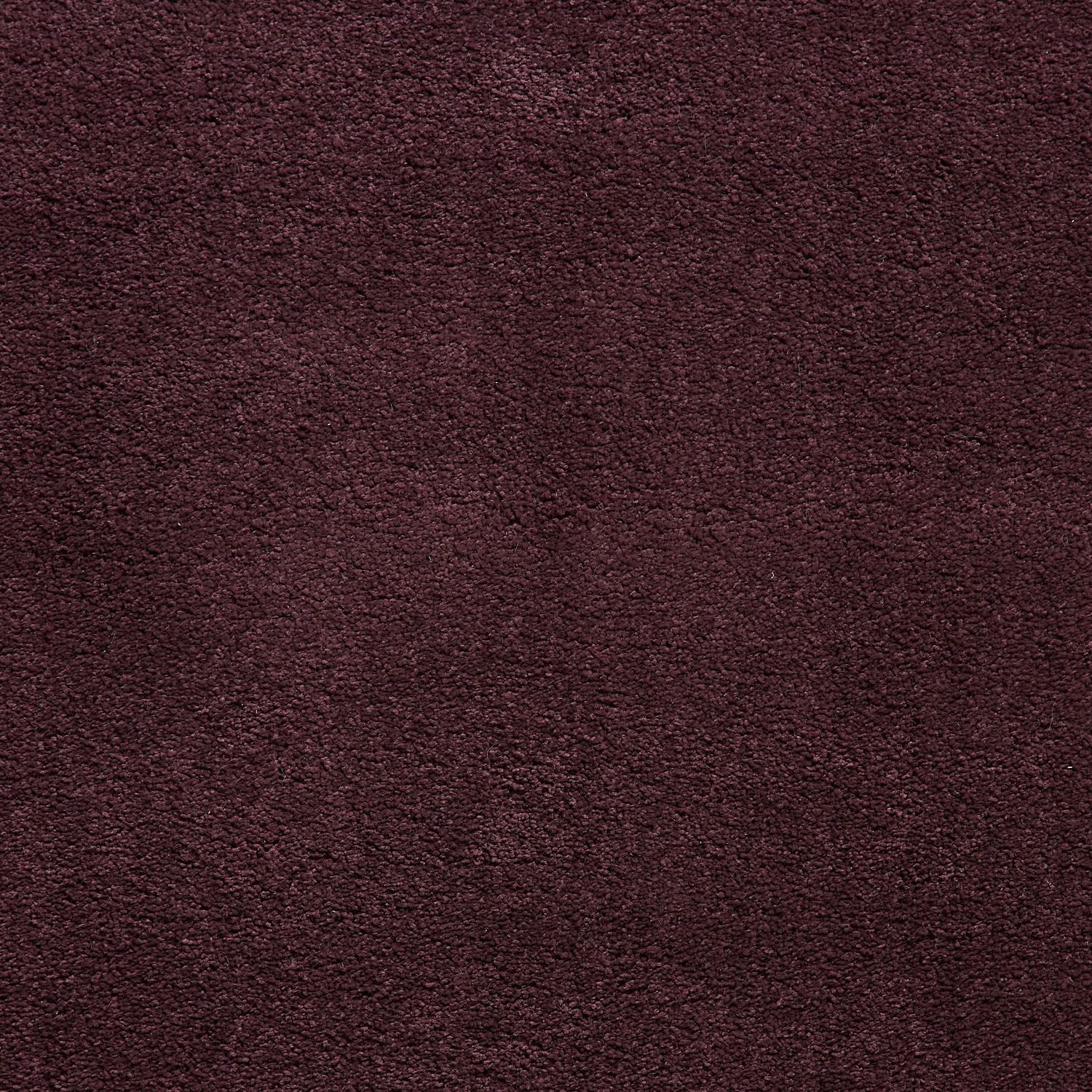 Sierra 9000 Shaggy Rug Purple