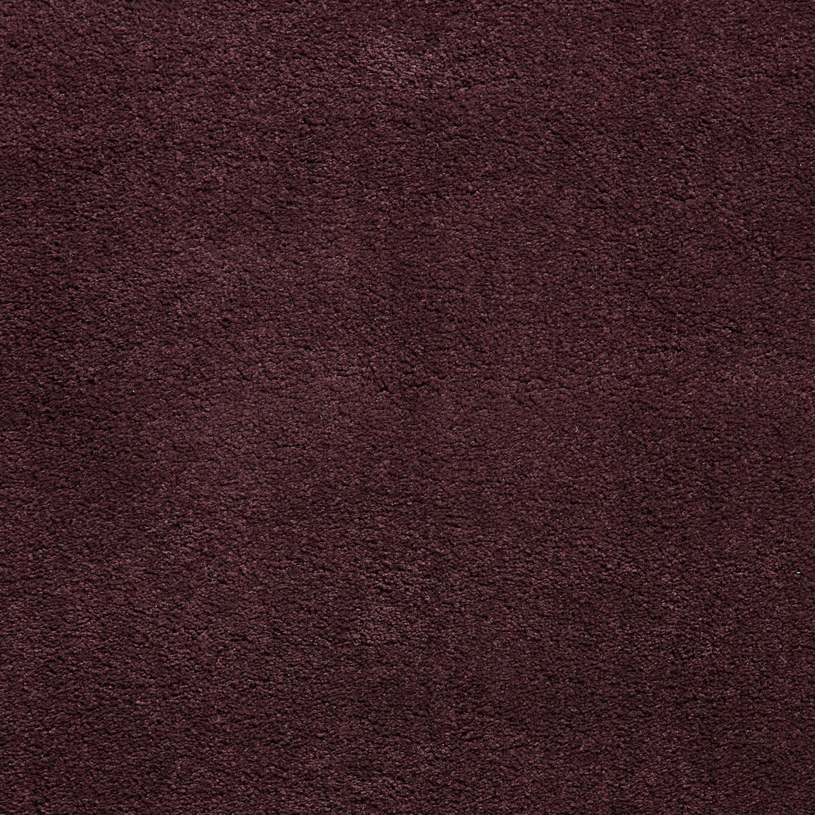 Sierra 9000 Shaggy Rug Purple