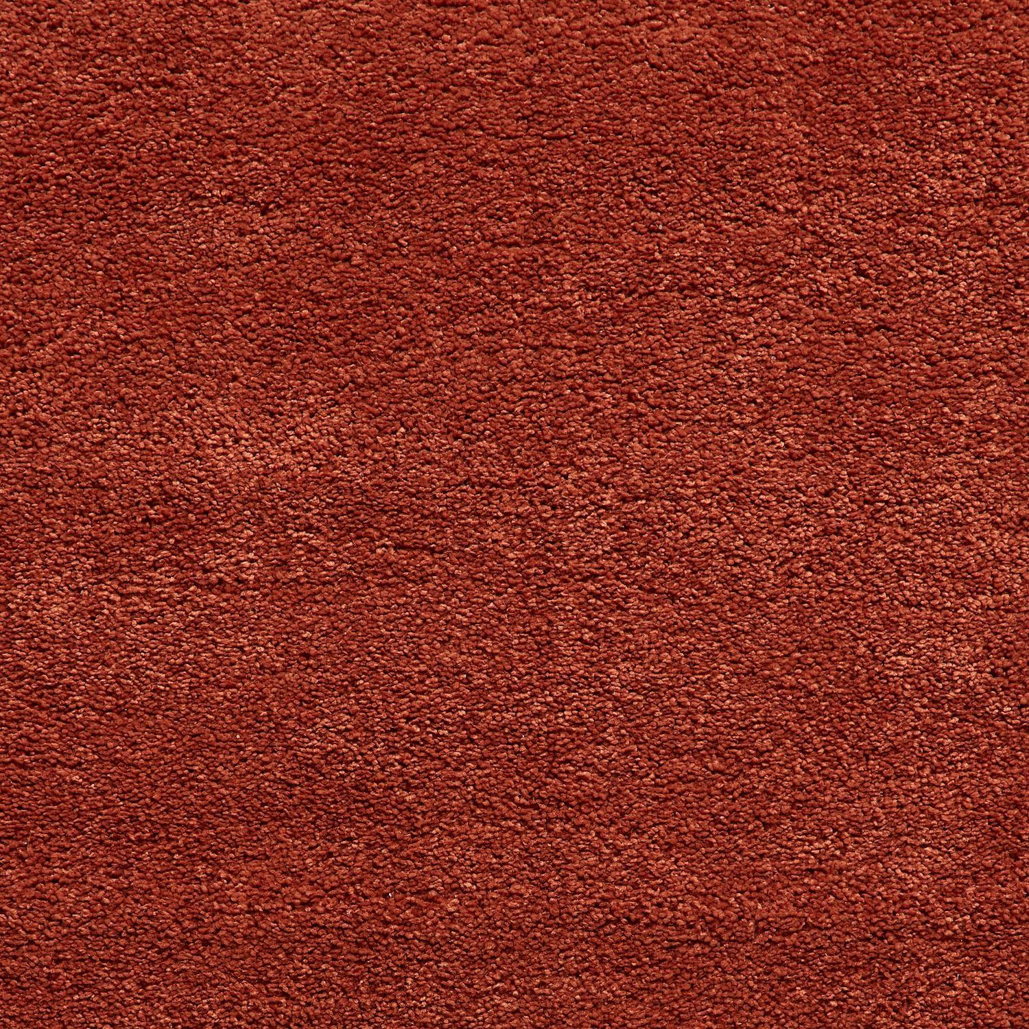 Sierra 9000 Shaggy Rug Terracotta