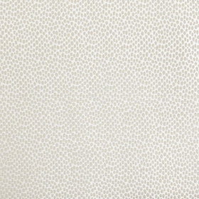 Cavendish Fabrics Pulse Fabric Ivory