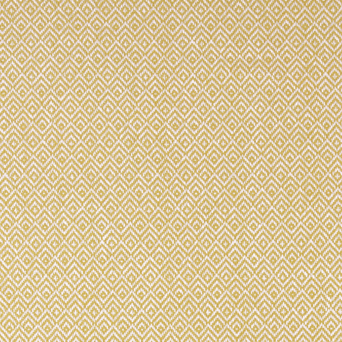 Ashley Wilde Tilly Fabric Marigold