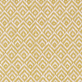 Ashley Wilde Tilly Fabric Marigold