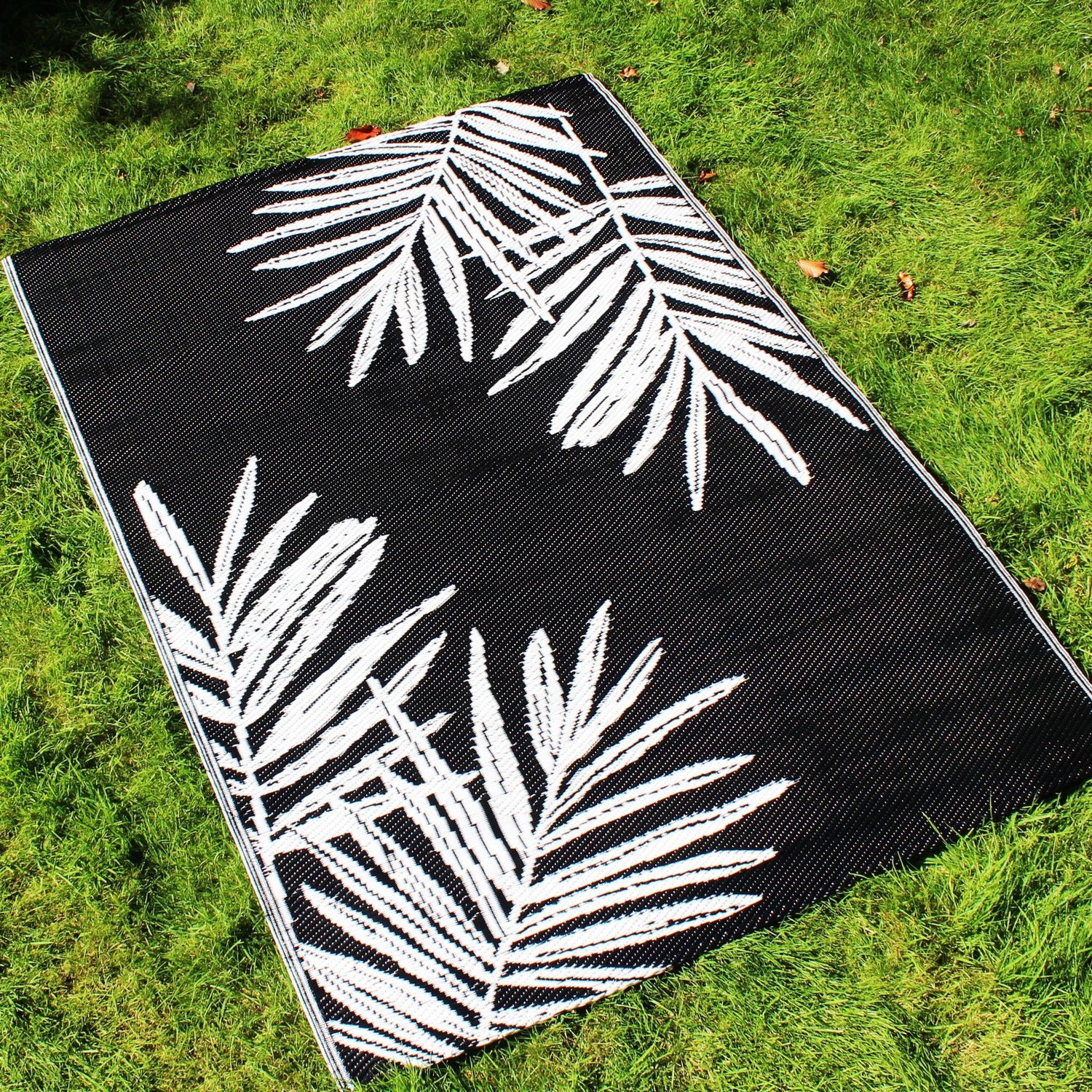 Dreams & Drapes Tahiti 120cm x 170cm Rug Black