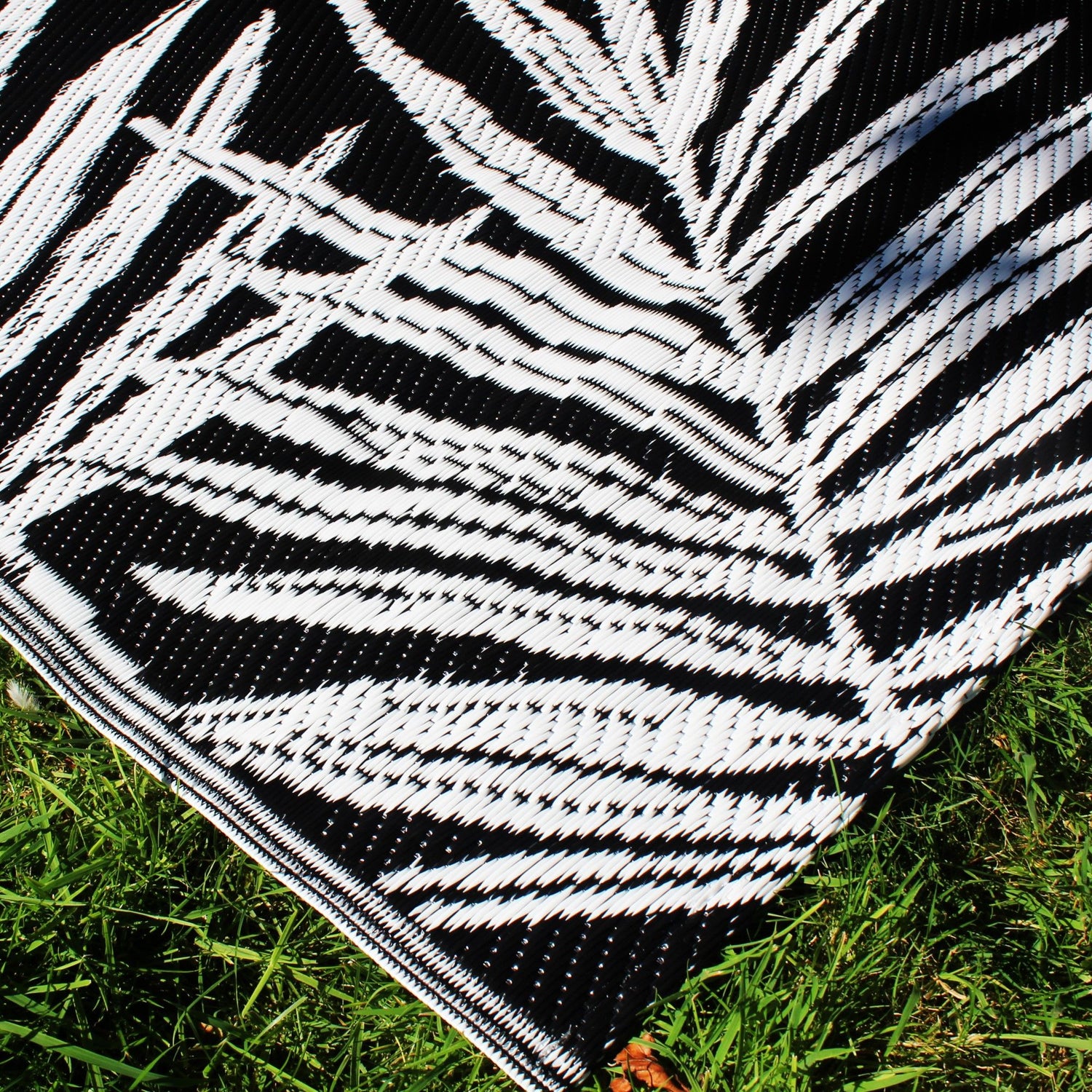 Dreams & Drapes Tahiti 120cm x 170cm Rug Black