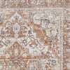 Vintage 35018 Traditional Rug Terracotta