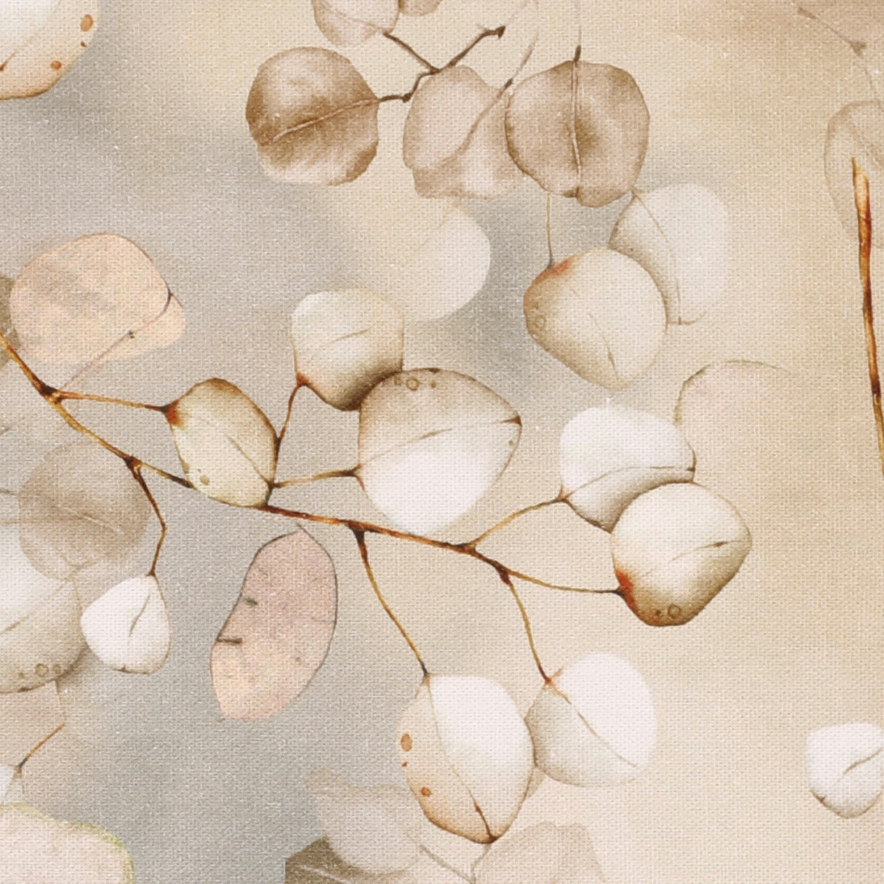ANTE DECOR Lunaria Fabric Peach Fuzz
