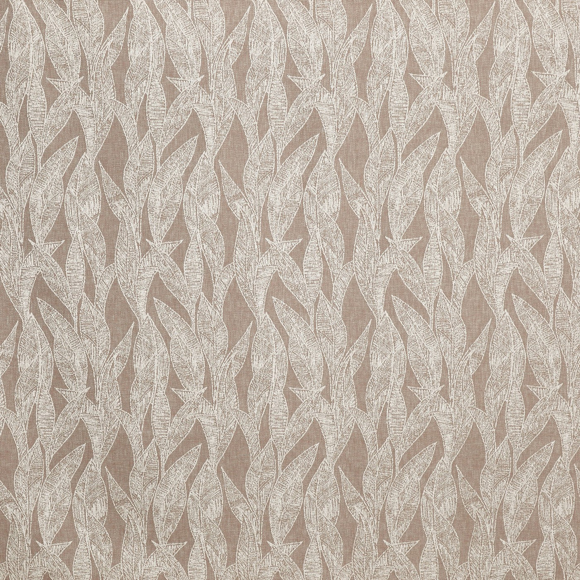 Prestigious Textiles Dali Fabric Mocha
