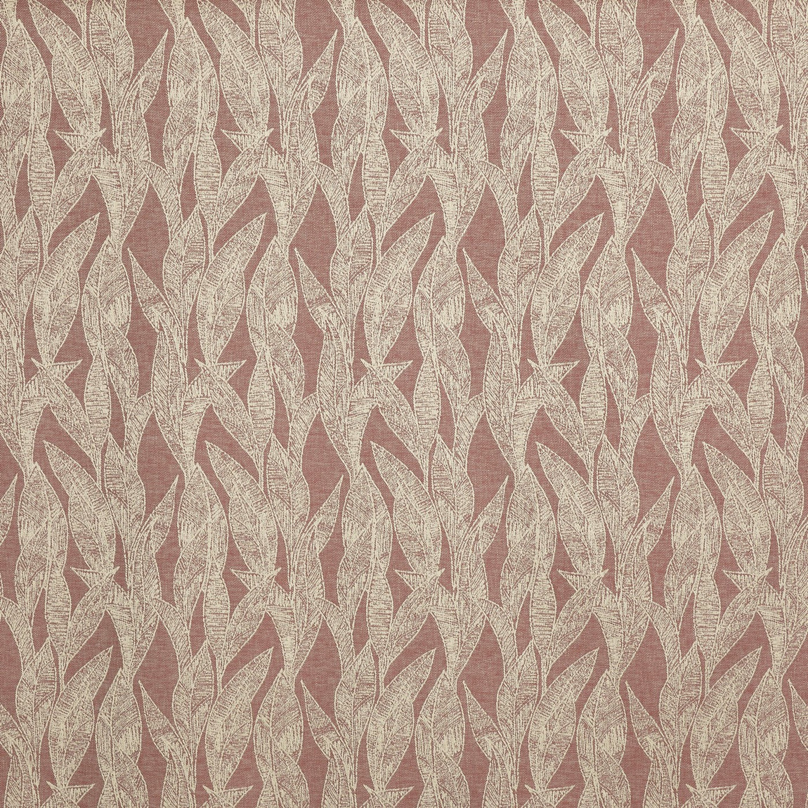 Prestigious Textiles Dali Fabric Woodrose