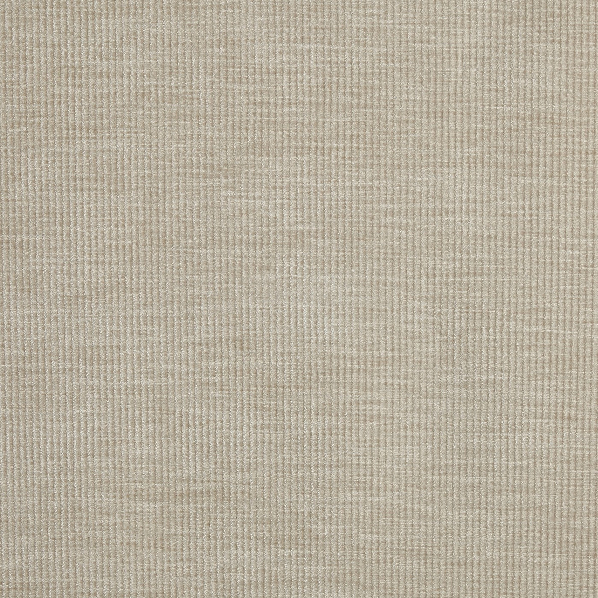 Prestigious Textiles Cord Chenille Fabric Mushroom