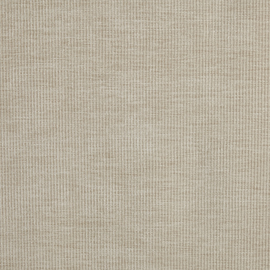 Prestigious Textiles Cord Chenille Fabric Mushroom