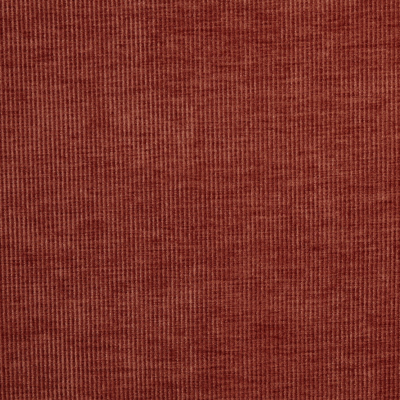 Prestigious Textiles Cord Chenille Fabric Spice