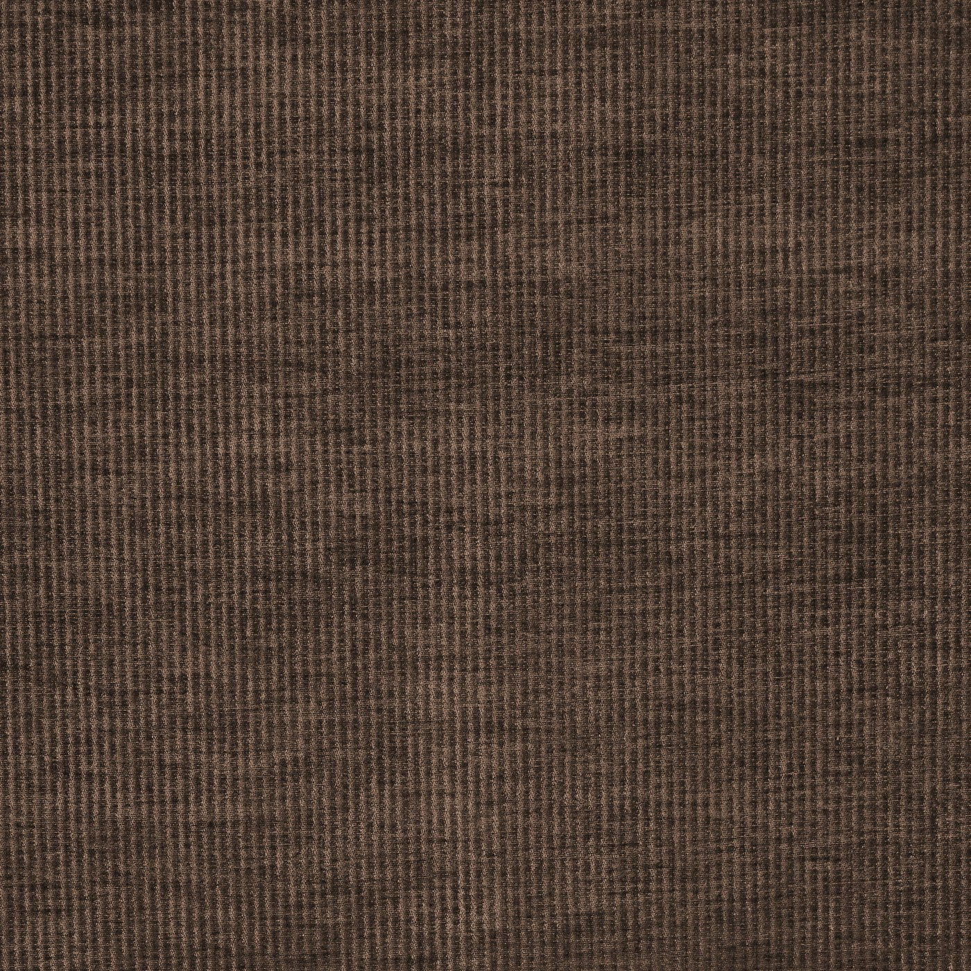 Prestigious Textiles Cord Chenille Fabric Cocoa