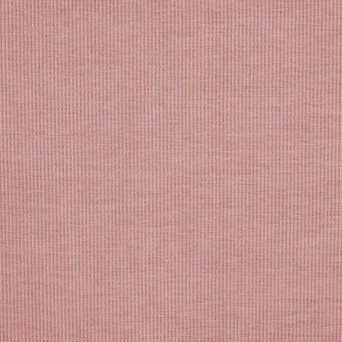 Prestigious Textiles Cord Chenille Fabric Petal