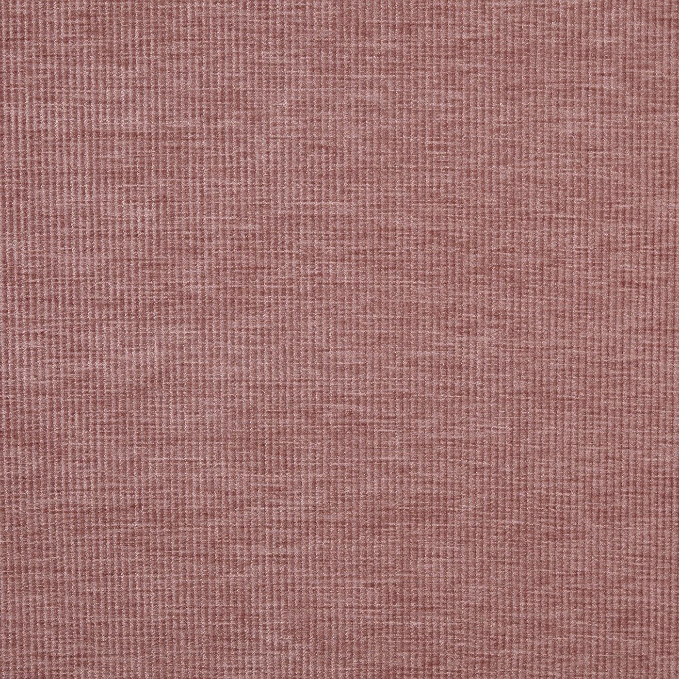 Prestigious Textiles Cord Chenille Fabric Woodrose