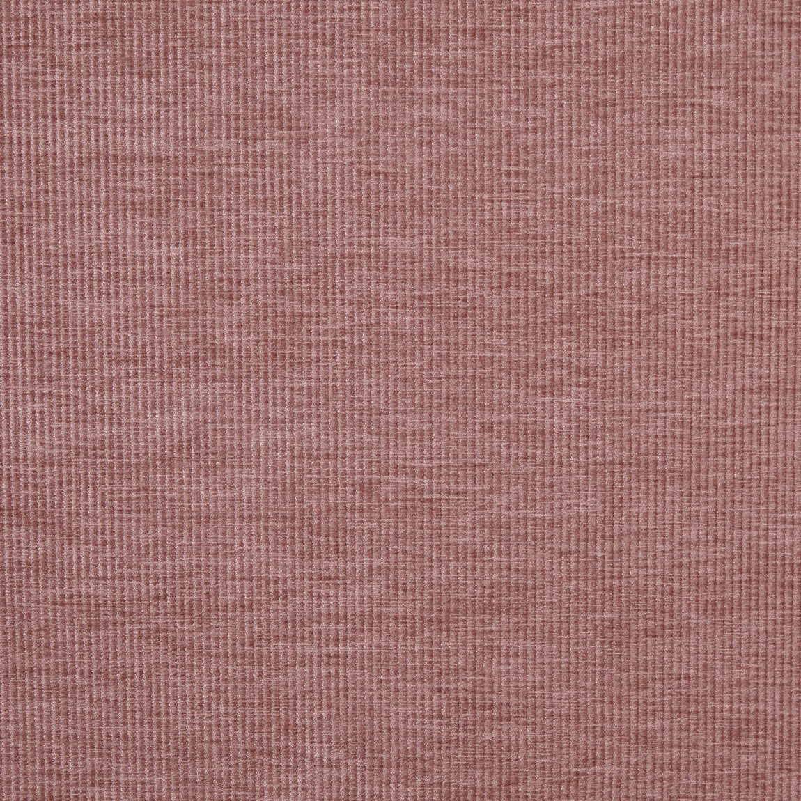 Prestigious Textiles Cord Chenille Fabric Woodrose