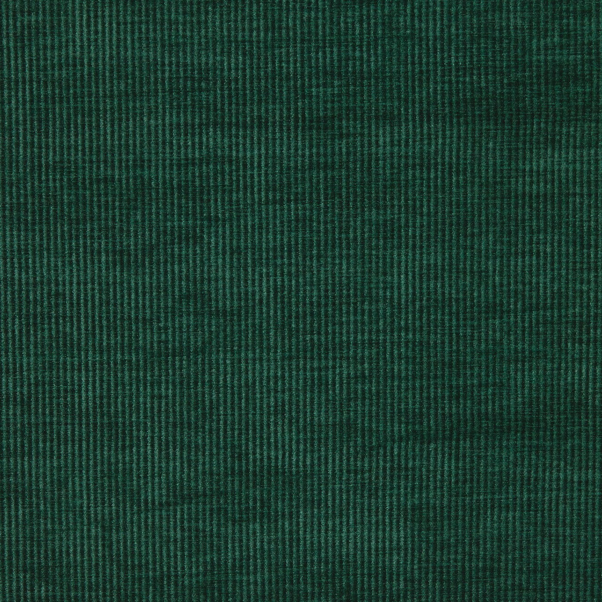Prestigious Textiles Cord Chenille Fabric Spruce