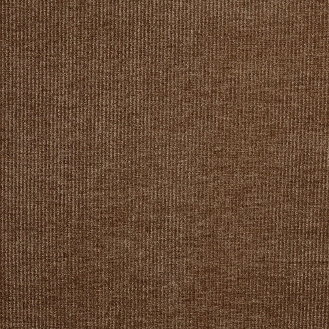 Prestigious Textiles Cord Chenille Fabric Hazel