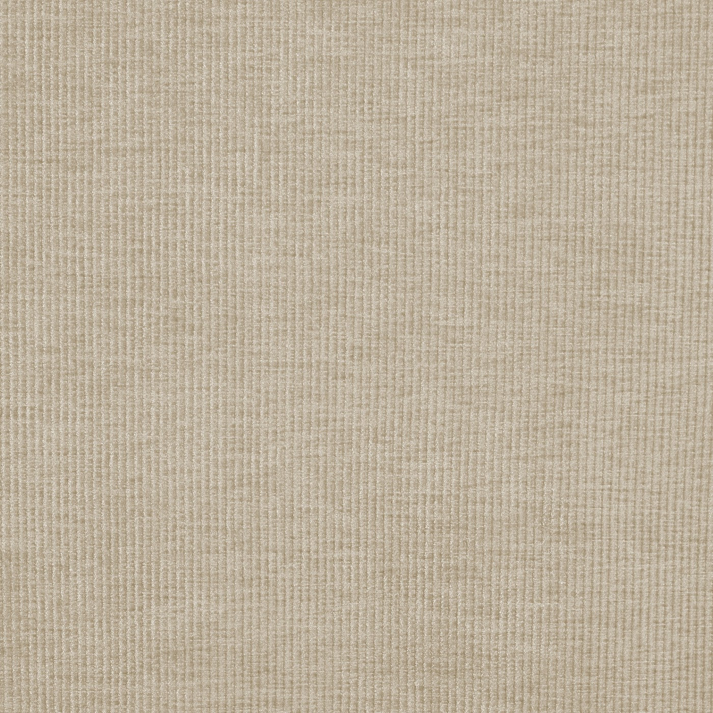 Prestigious Textiles Cord Chenille Fabric Sand