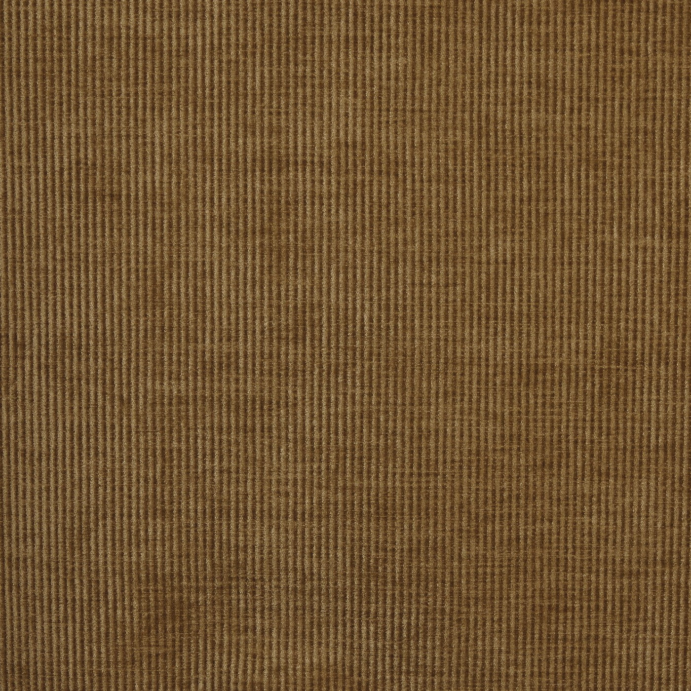 Prestigious Textiles Cord Chenille Fabric Mustard