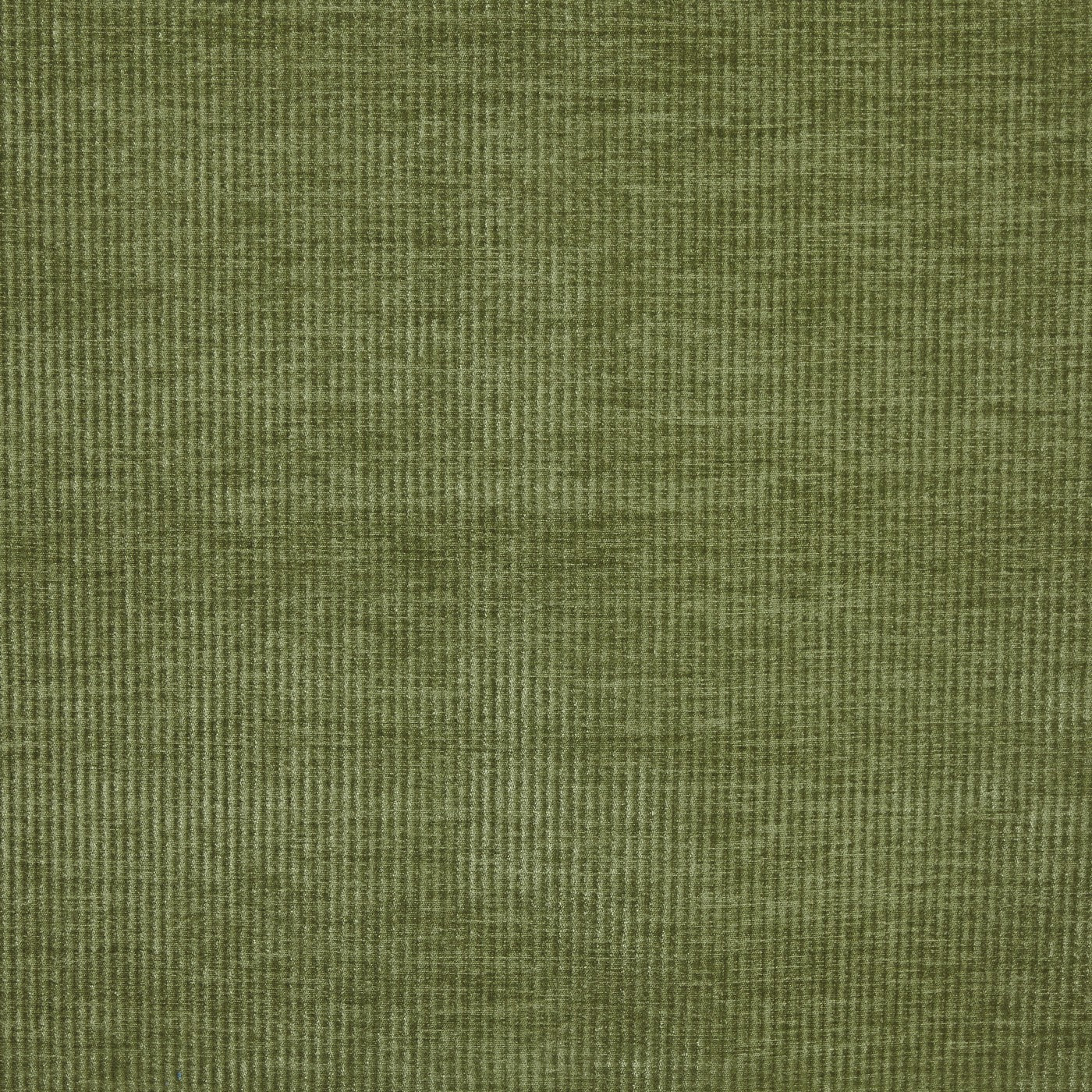 Prestigious Textiles Cord Chenille Fabric Khaki