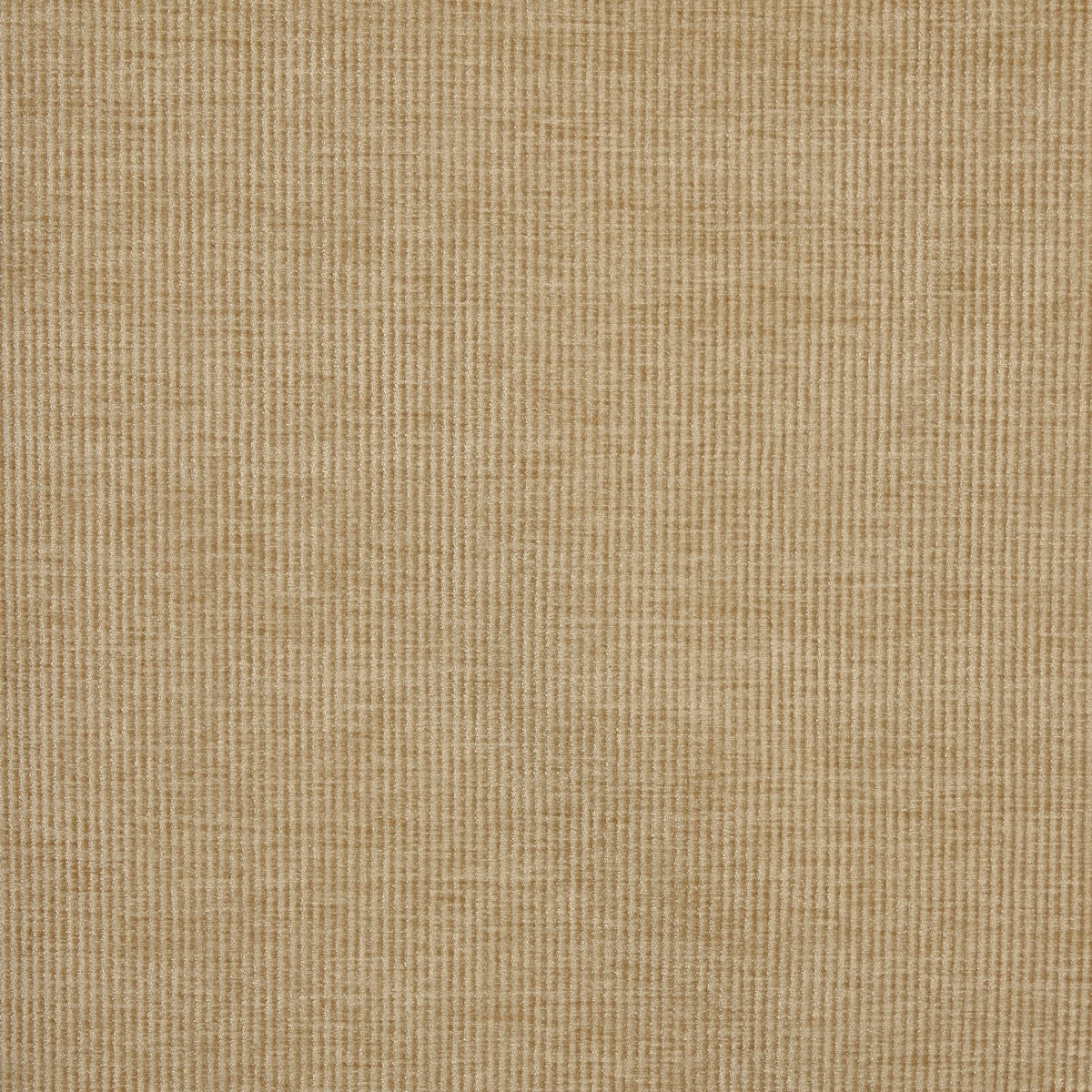 Prestigious Textiles Cord Chenille Fabric Pampas