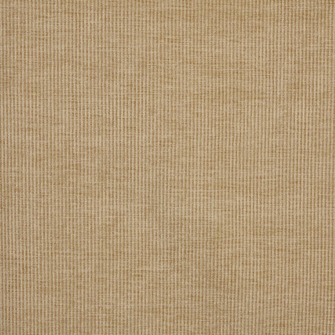 Prestigious Textiles Cord Chenille Fabric Pampas