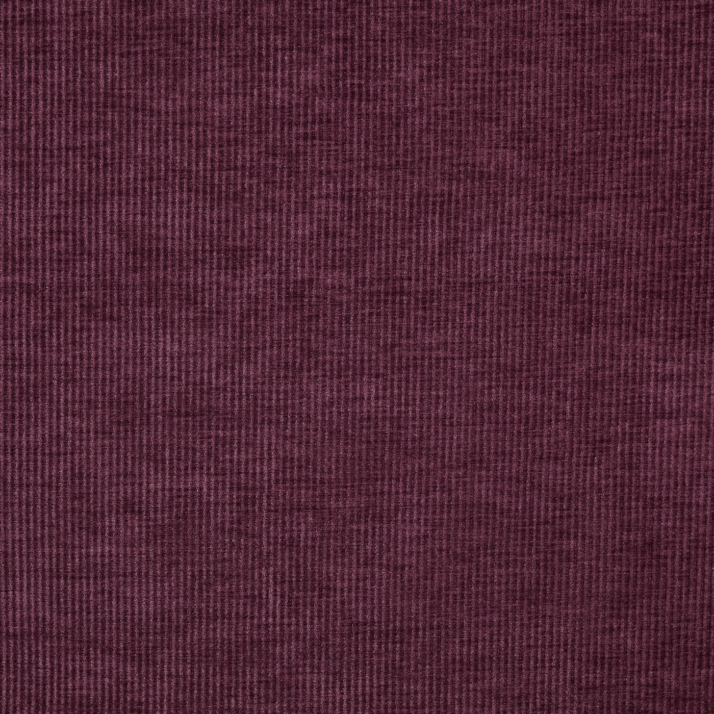 Prestigious Textiles Cord Chenille Fabric Plum