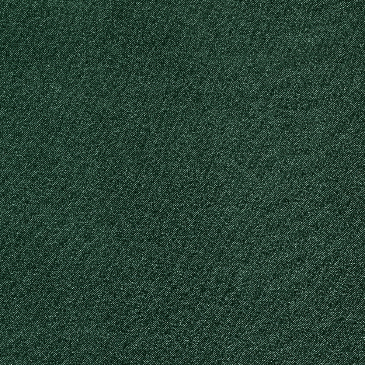 ANTE DECOR Aurora Made To Measure Roman Blind Jungle Green