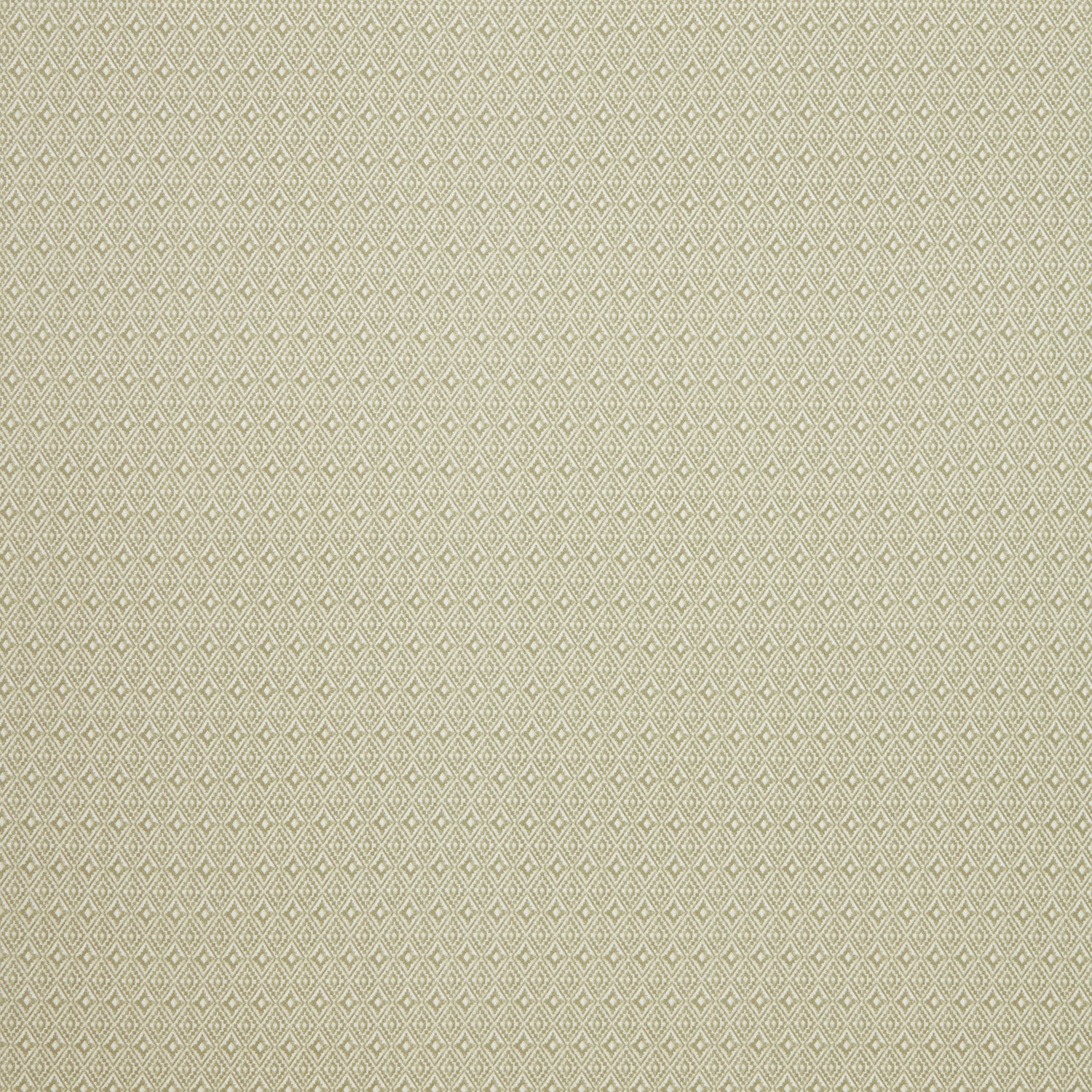 iLiv Aztec Fabric Pampas