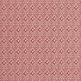 iLiv Aztec Fabric Salsa