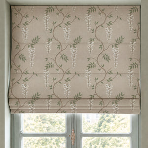 Wisteria of the Orangerie Blanc From £19.99