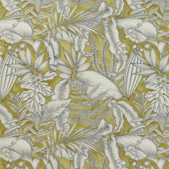 Caicos Curtain Fabric Kiwi